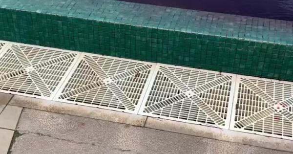 Activistas propalestinos arrojan tinta roja en la piscina de un hotel en Palmanova