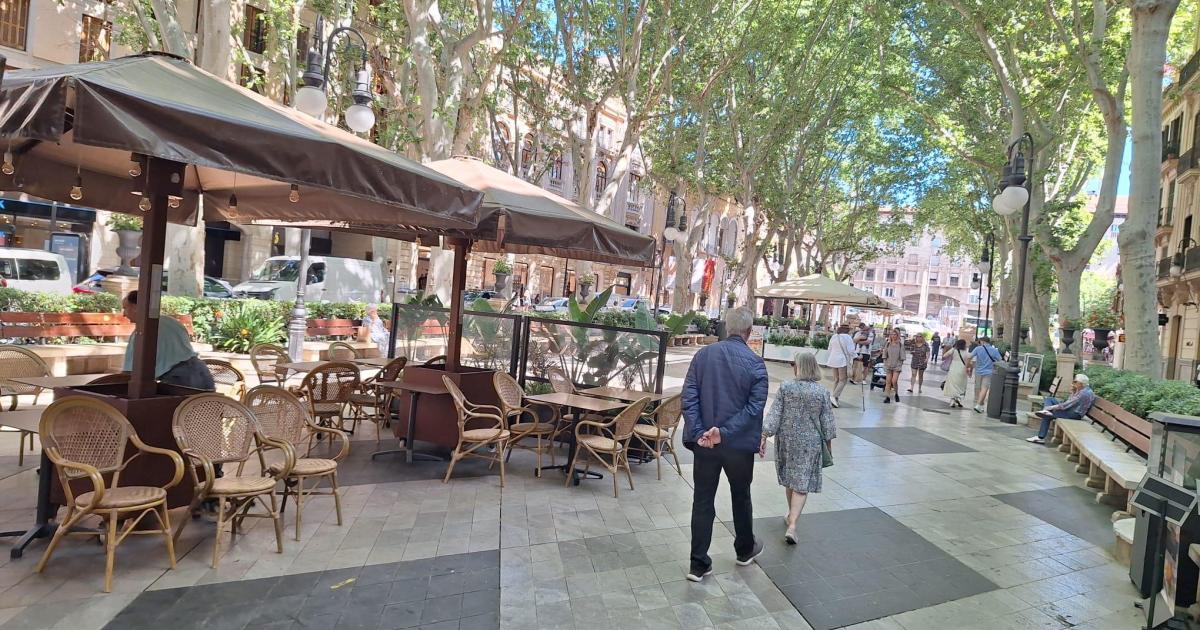 Pimeco propone conciertos en las calles de Palma para dinamizar los comercios