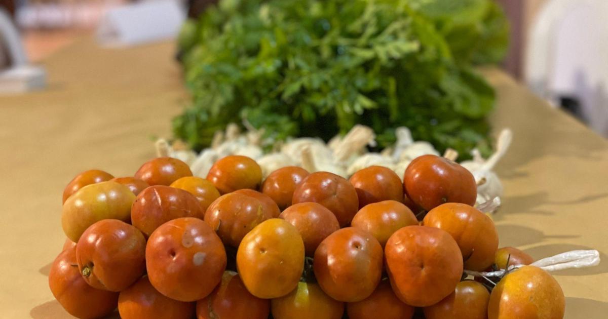 Así funcionan los nuevos bonos al producto local del Govern