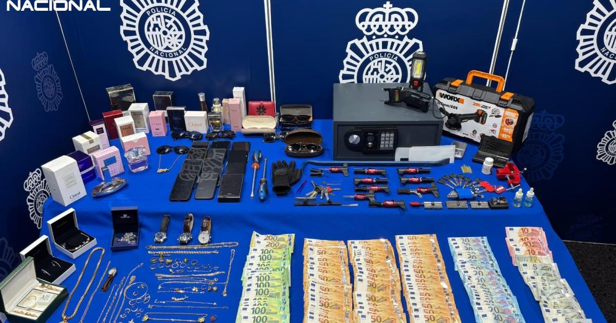 Detienen a siete personas que formaban parte de un grupo criminal que robaba en casas de Palma