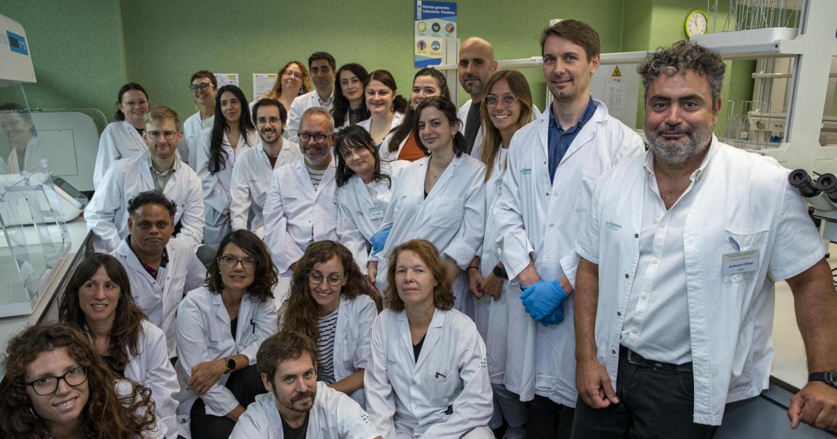 Son Espases capitanea la batalla contra las «superbacterias» resistentes a los antibióticos