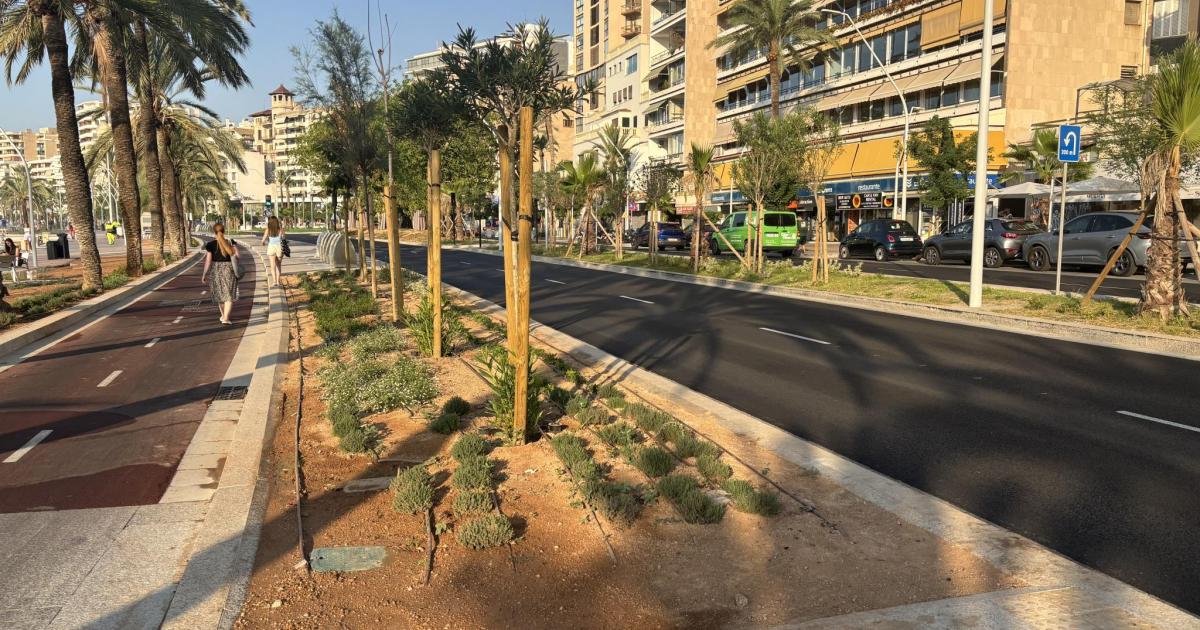 El Paseo Marítimo de Palma, listo para el próximo mes