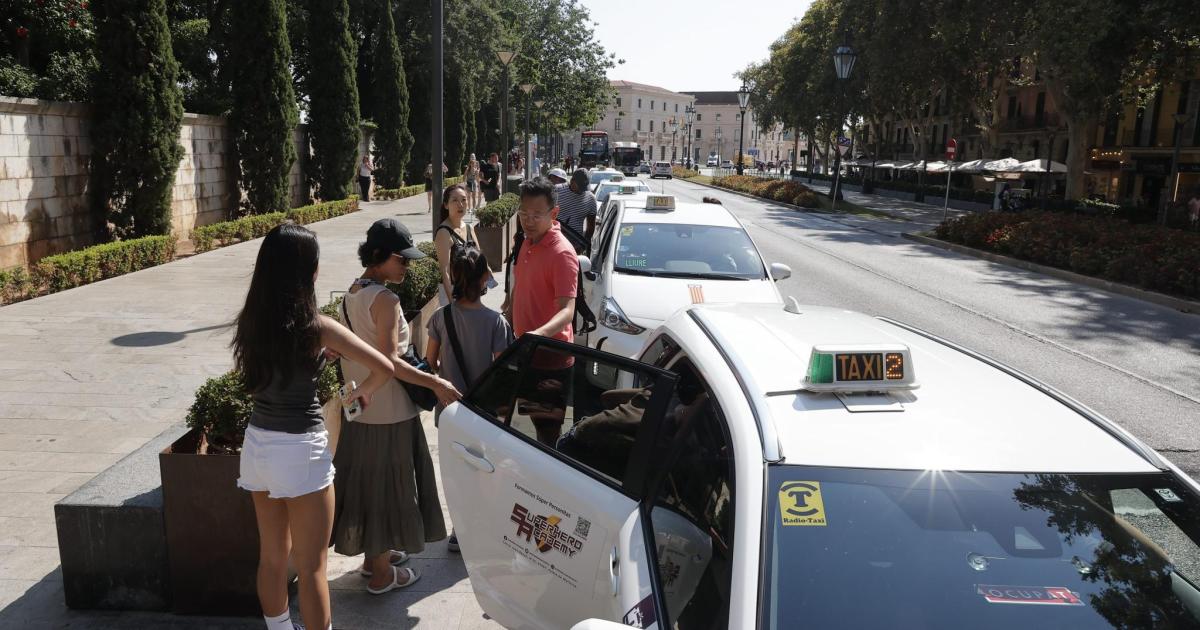 Los taxistas de Palma despiden un verano de altibajos