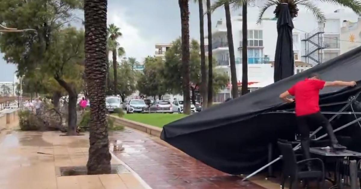 Árboles caídos, terrazas voladas y calles inundadas en Cala Millor por las fuertes tormentas en el LLevant de Mallorca