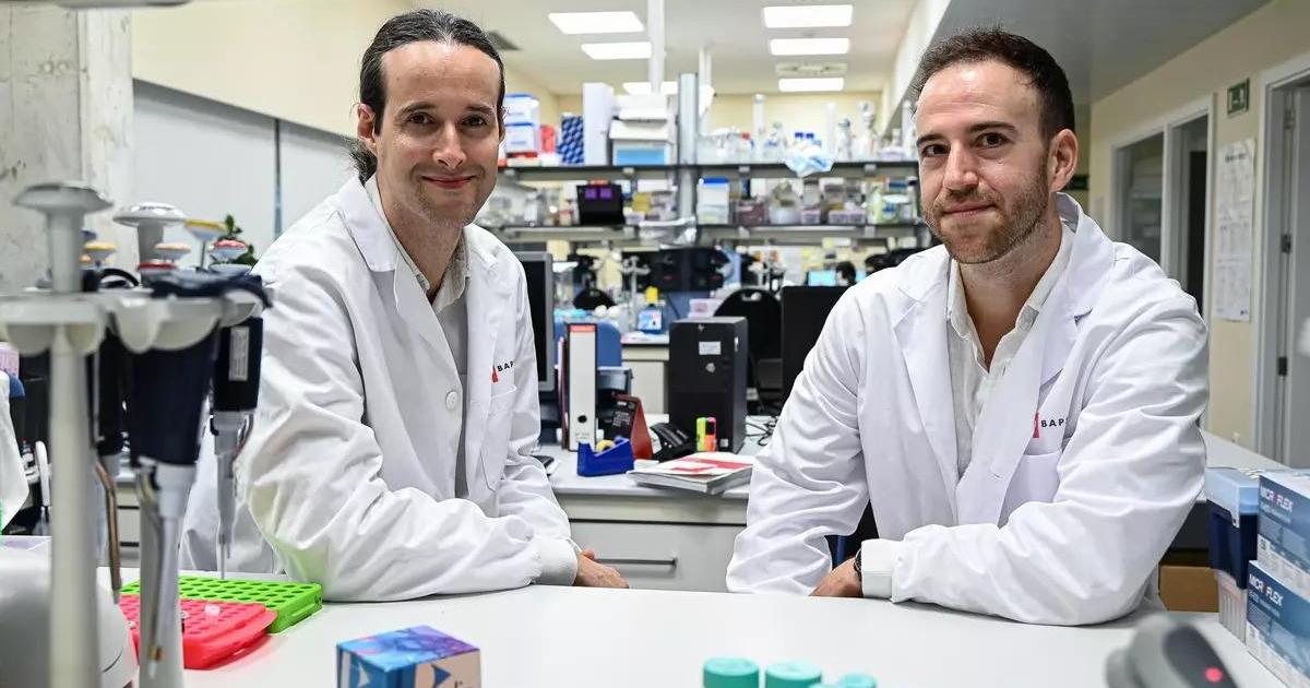 Importante avance contra el cáncer: un nuevo método permite reconstruir el origen del tumor y anticipar su progresión