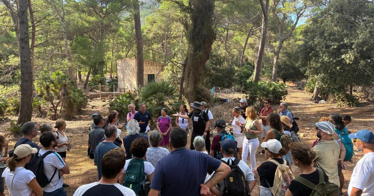 Formentor acoge una ruta poética en conmemoración del 150º aniversario del poema de Costa i Llobera