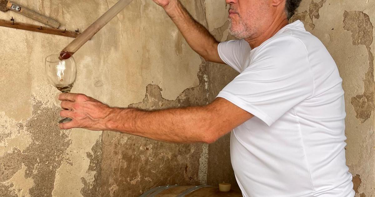 Biel Gornals, payés: «Apostamos por hacer vinagres saludables con un sabor único»