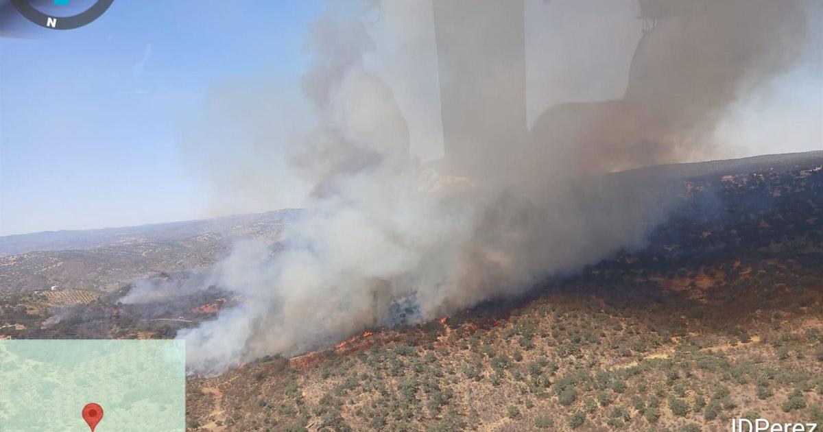 Activo un incendio forestal declarado este domingo en el paraje La Canaleja en Pozoblanco (Córdoba)