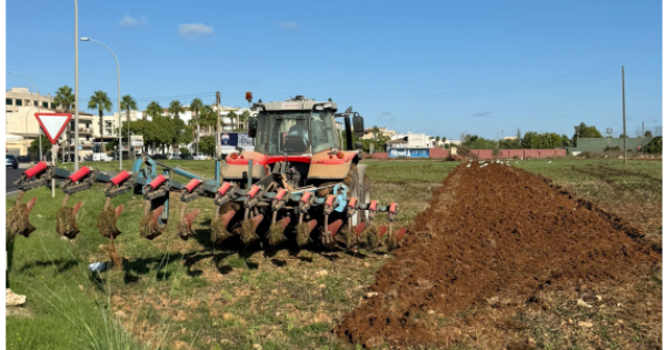 Manacor denuncia ante el Govern una posible mala práctica en la gestión del estiércol de las gallinas en una finca rústica