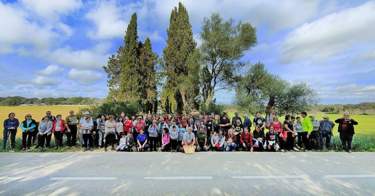 Quejas por los fuertes olores de estiércol de gallina en Sineu