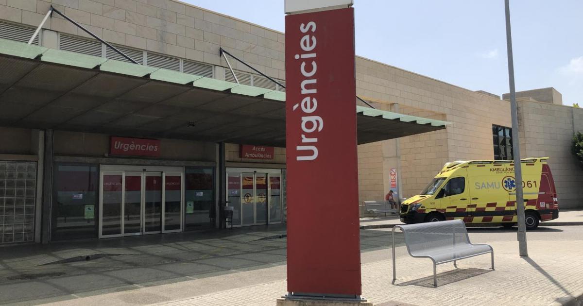 Condenada una auxiliar administrativa por borrar el registro de embriones congelados de Son Llàtzer