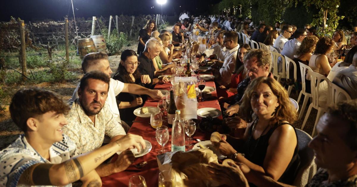 Más de 500 personas degustan los ‘fideus des vermar’ en las viñas de José L. Ferrer