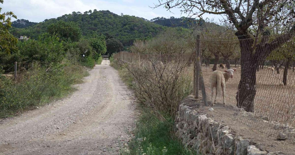 Felanitx revisa el catálogo de caminos públicos del municipio