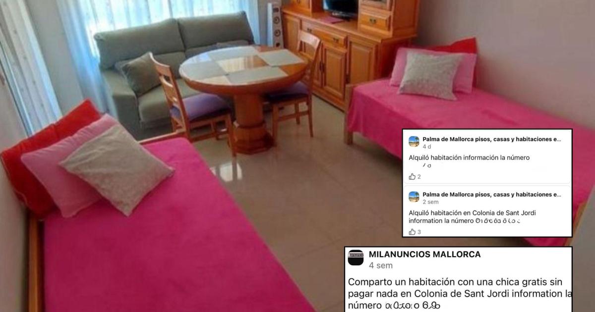 Víctimas de un arrendador fraudulento en la Colònia de Sant Jordi: «Este sujeto quiere vivir a nuestra costa»
