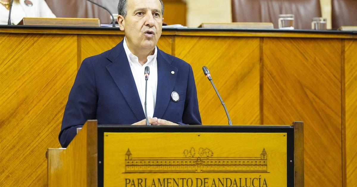 El Parlamento andaluz apoya con votos de PP y PSOE que la ayuda a domicilio sea reconocida como profesión "penosa"