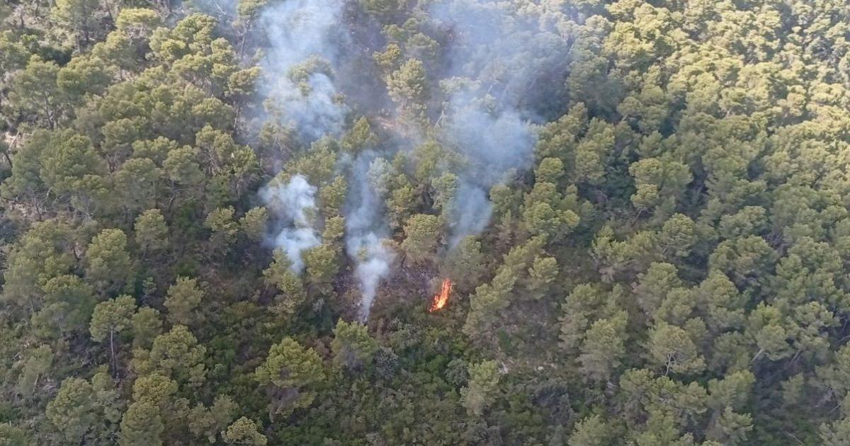 Estabilizado un incendio forestal en la Comuna de Bunyola