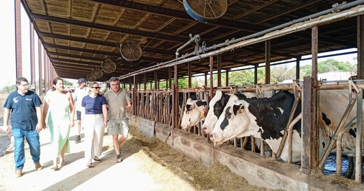 Agama dejará de comprar leche a los payeses de Mallorca el año que viene
