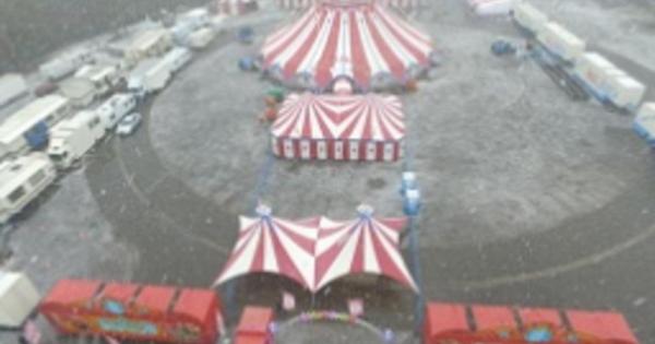 Muere una acróbata mallorquina durante una función en un circo alemán