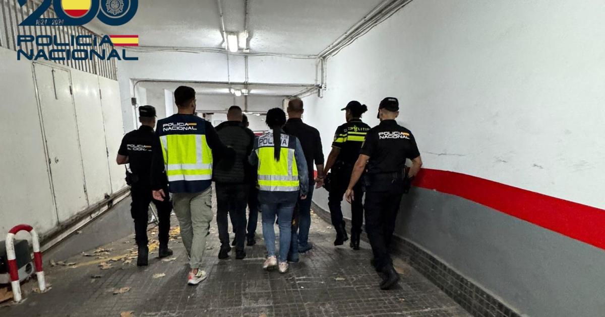 Seis detenidos por agredir gravemente al jefe de sala de una discoteca en Playa de Palma