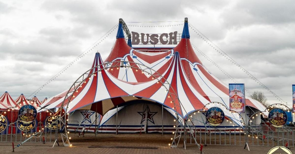 El presidente de la Asociación Alemana de Circos, sobre la muerte de la acróbata: «Debió de tener muy mala suerte o caer sobre un obstáculo»