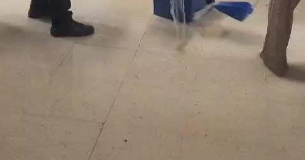 Educació suspende las clases en Ibiza y pide a los padres que no acudan a los centros a recoger a sus hijos