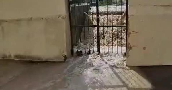 Los vecinos de Selva, alarmados ante la inundación de una parte del solar de la futura escuela