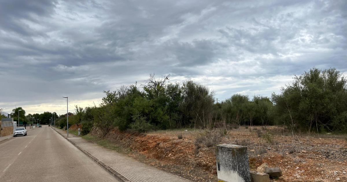 Marratxí recauda tres millones de euros en la subasta de ocho solares municipales