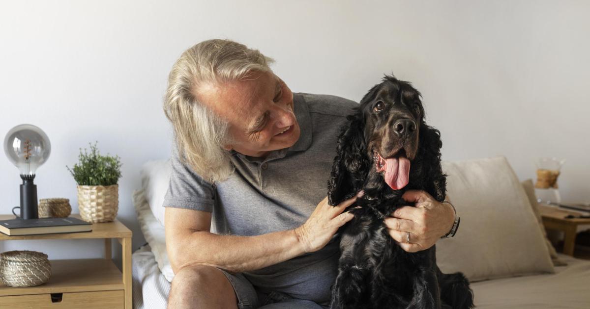 Viajes del Imserso 2025/2026: estas son las razas de perros que no se admiten en el programa