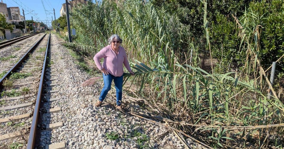 Quince años de inundaciones por los pozos de un vecino