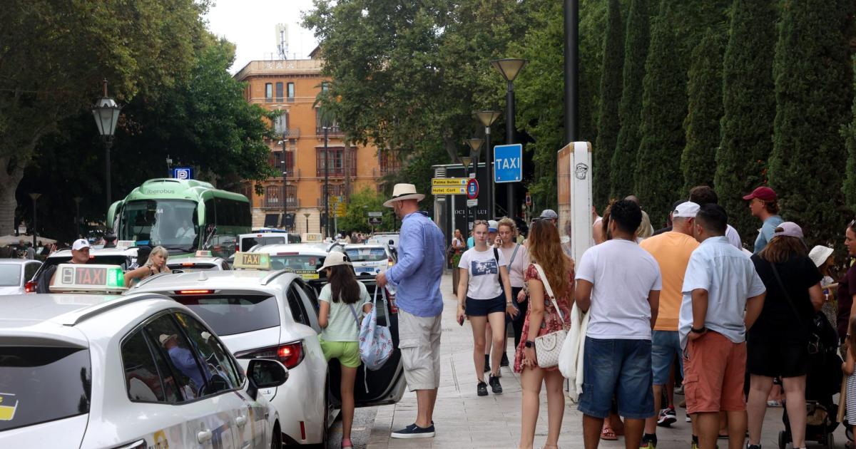 Ya hay fecha para el examen de taxista de Palma
