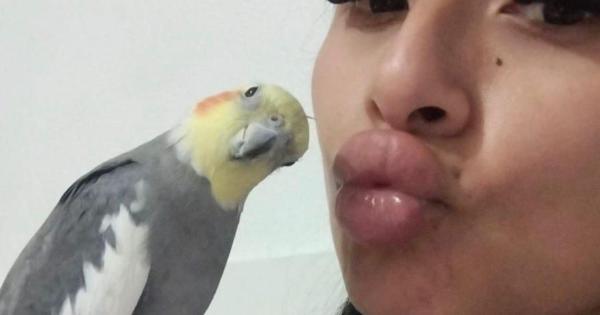 La vida sin Muyi, uno de los pájaros robados: «No puedo dormir ni parar de llorar, estoy desesperada»