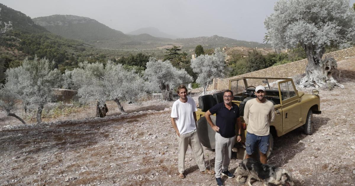 Una revolución agrícola contra el abandono del campo balear