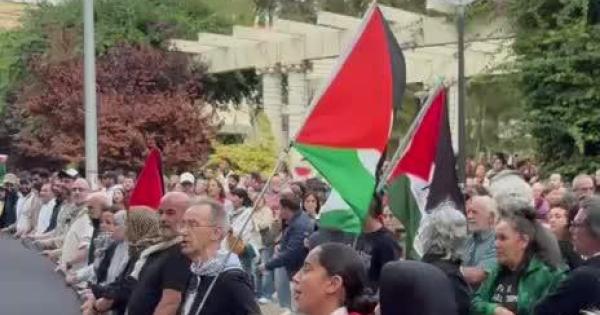 Palma se echa de nuevo a la calle en apoyo al pueblo de Palestina
