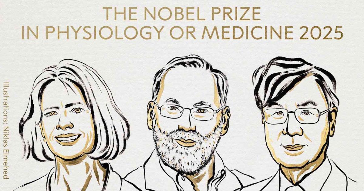 Nobel de Medicina para Brunkow, Ramsdell y Sakaguchi por sus avances en tolerancia inmunológica periférica