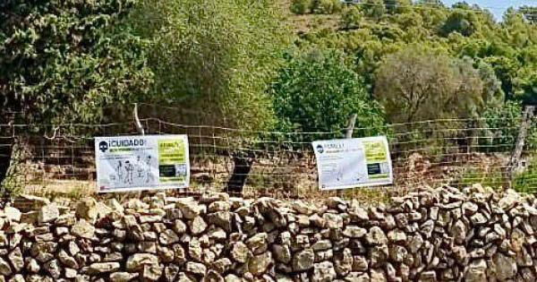 El Ajuntament d'Alcúdia denuncia a una plataforma vecinal por «acusaciones infundadas»