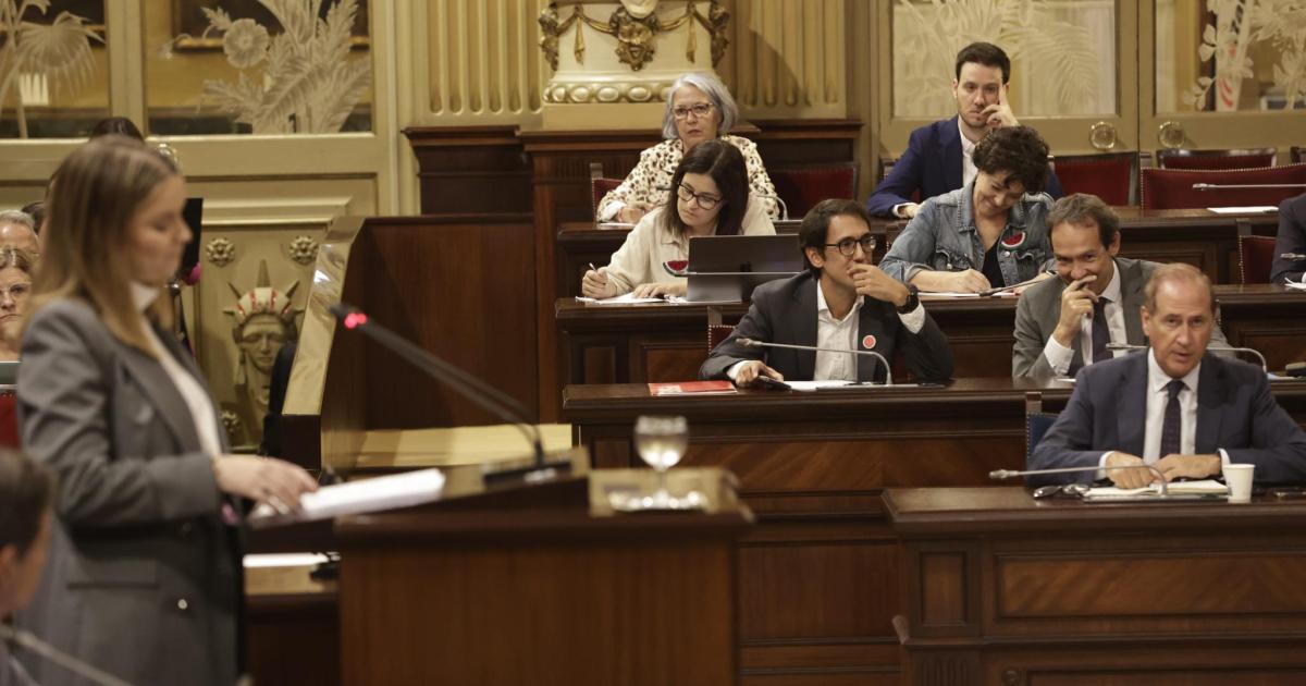 «Nos parece vergonzoso»: Podemos critica el silencio de Prohens ante el «maltrato» a Reyes Rigo
