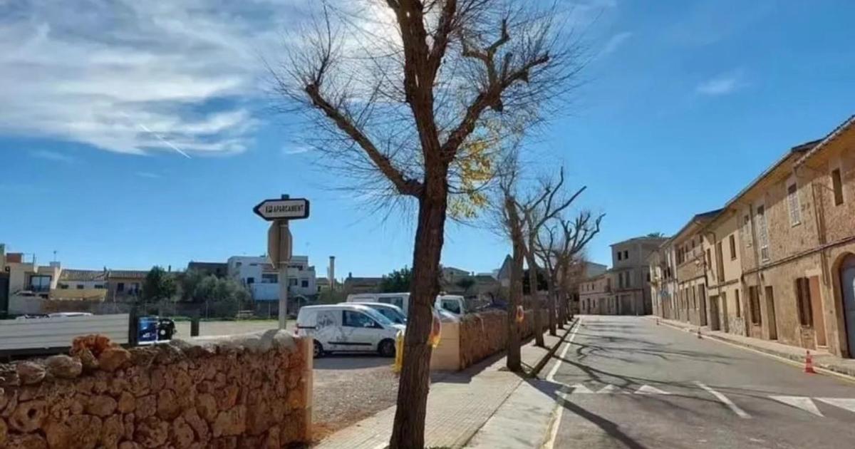 El pleno aprueba la compra del solar de Ca’n Bodegó por un millón de euros