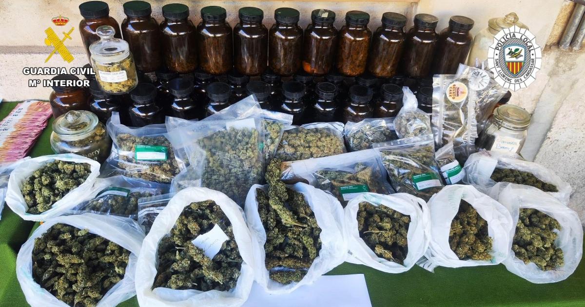 Cuatro detenidos y 8 kilos de droga incautados al desmantelar una asociación cannábica en Cala Millor