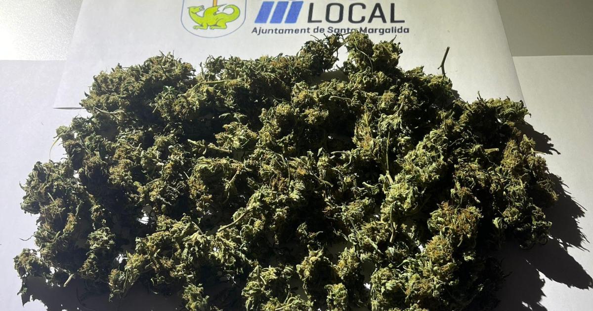 Detenido un hombre que iba en bici por Can Picafort con casi medio kilo de marihuana