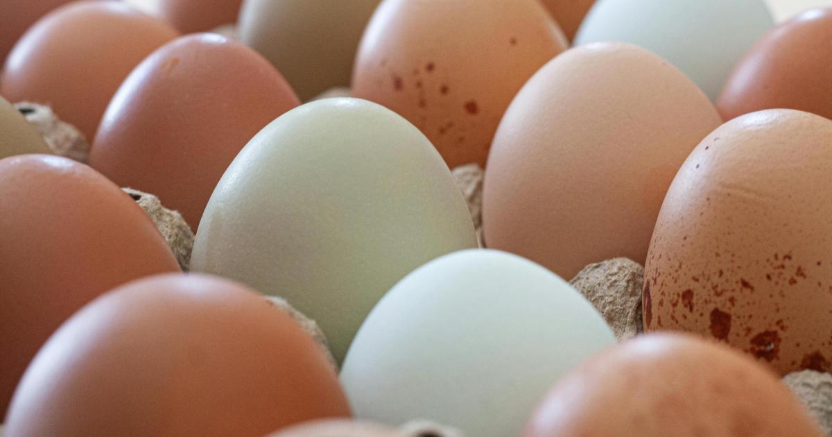 El huevo es el alimento que más se encarece en 2025 con la gripe aviar de fondo