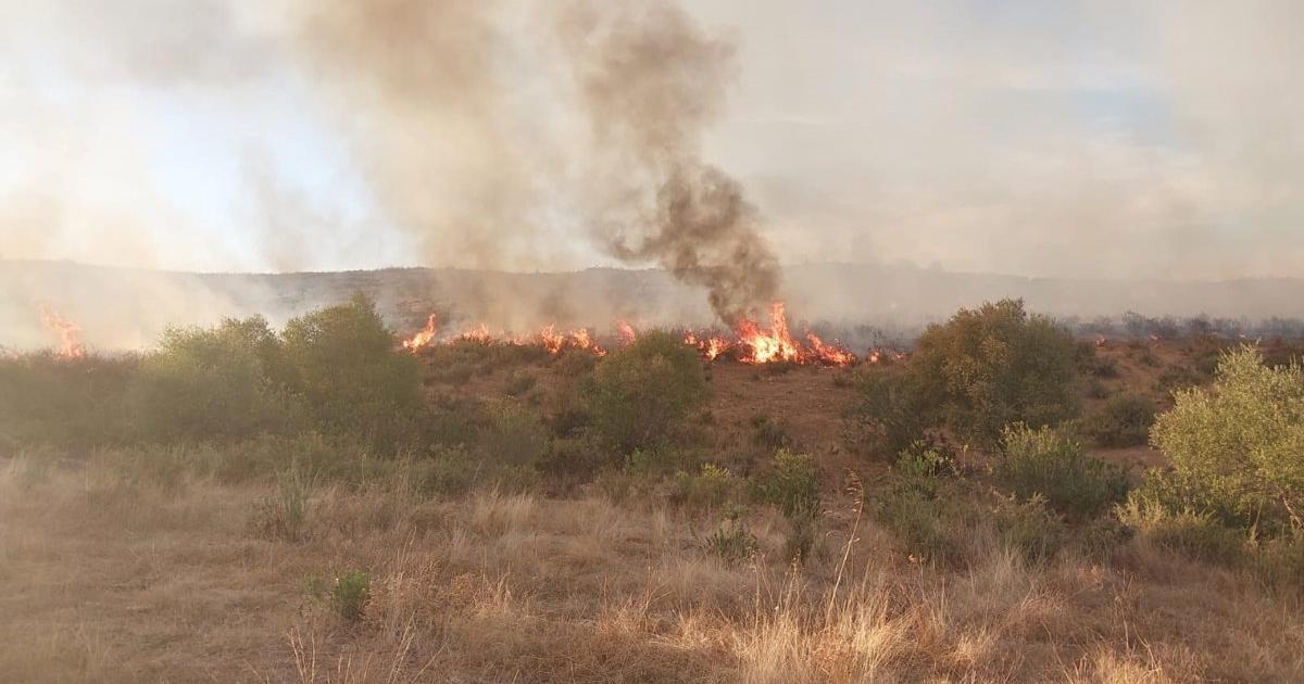 Una veintena de efectivos trabajan en la extinción de incendio forestal en El Castillo de las Guardas (Sevilla)