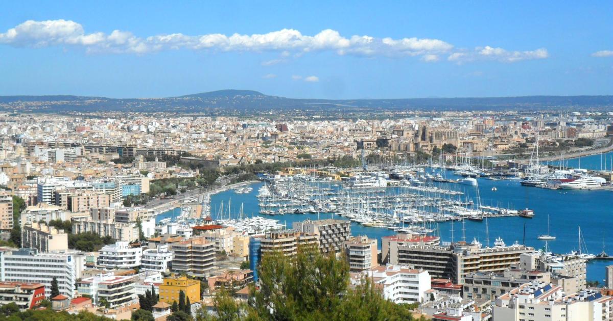 Palma prepara un 'sandbox' regulatorio para atraer proyectos de inteligencia artificial