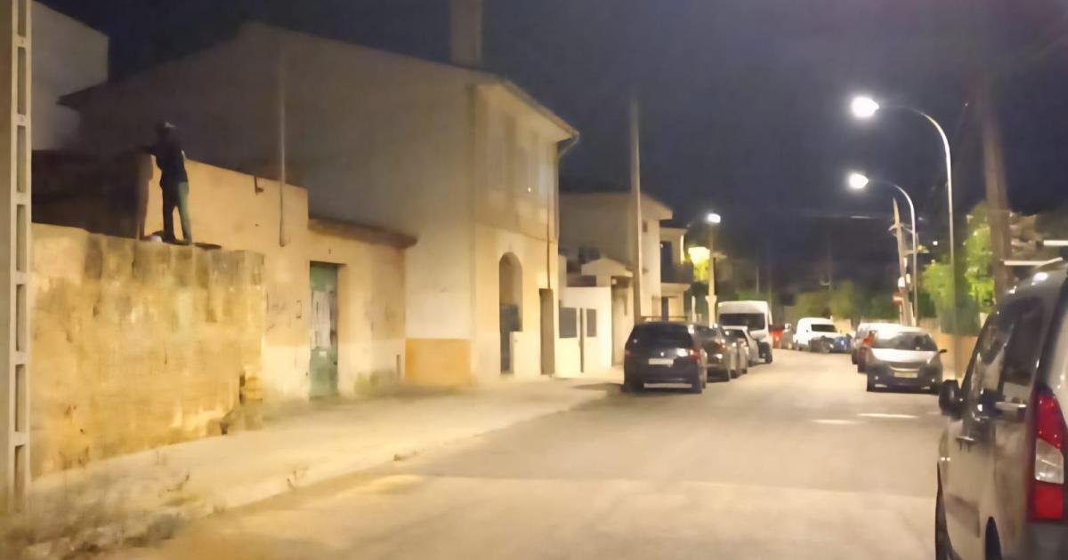 Okupación descontrolada en las cocheras del Amanecer: «Cada vez son más y trepan por las paredes»