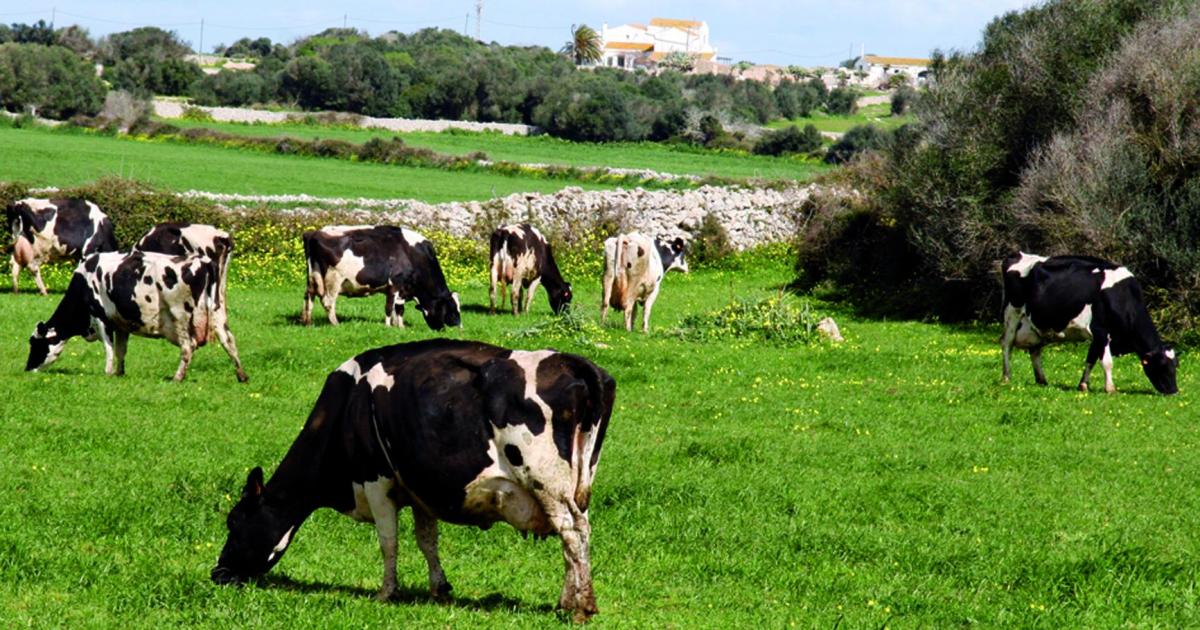 Un grupo de agricultores rechaza la ley por fomentar la urbanización del campo