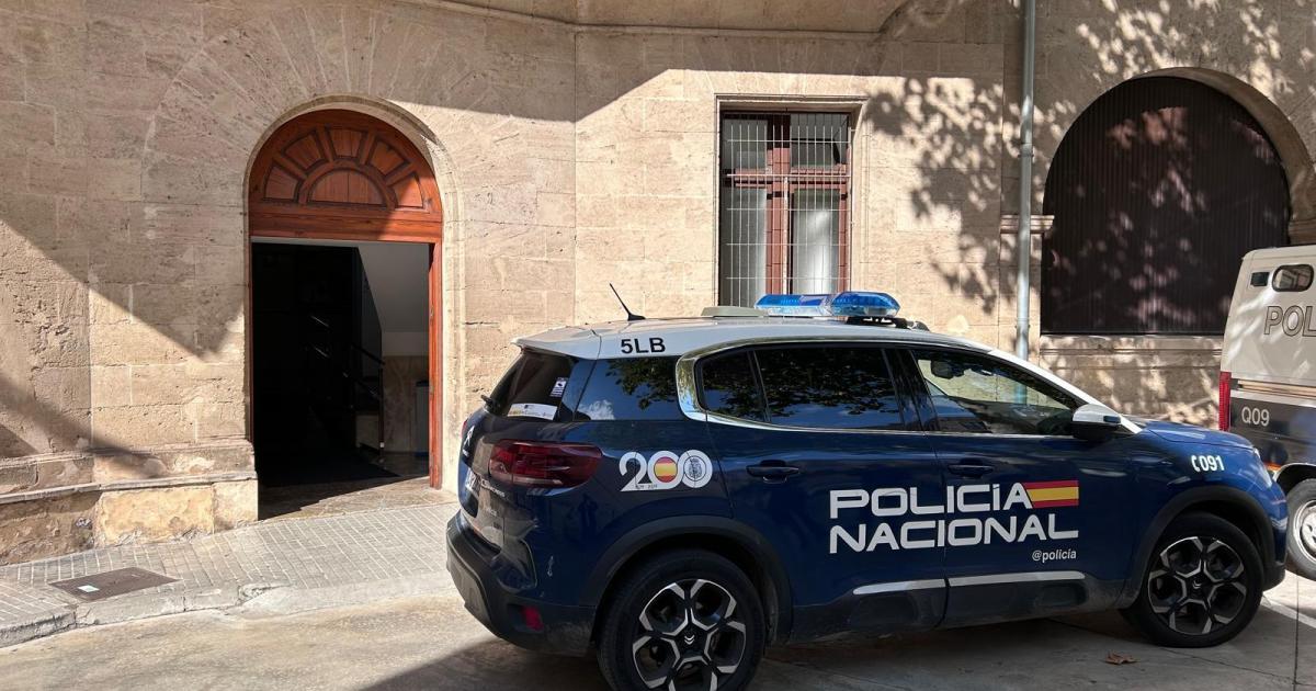Detenido en Palma un empresario por estafar 700.000 euros al gobierno alemán con subvenciones fraudulentas