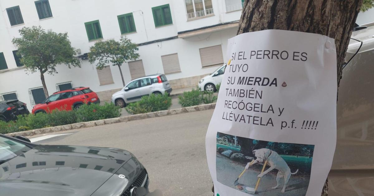 «Si el perro es tuyo su mierda también»