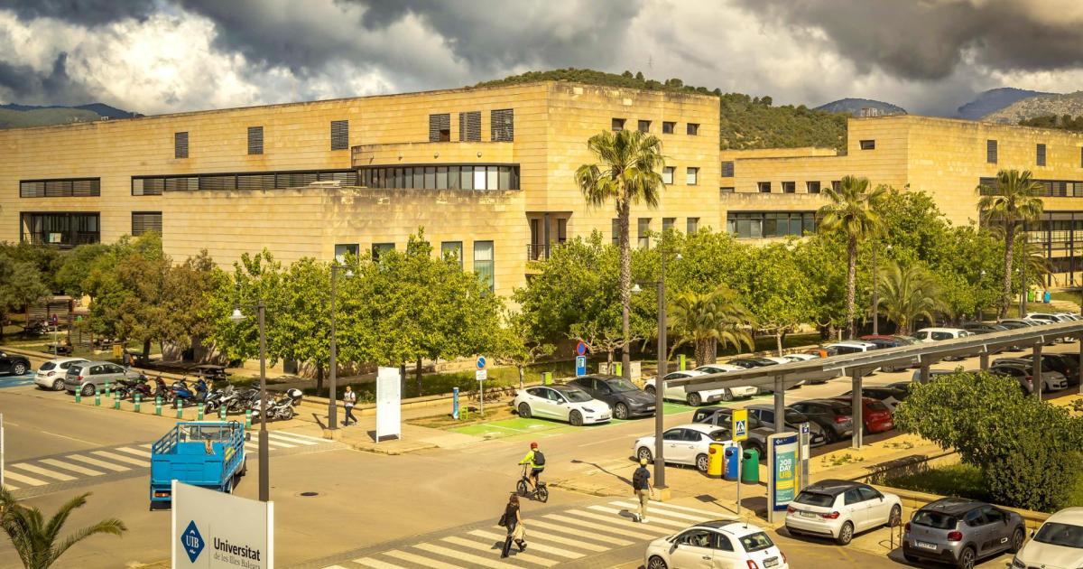La UIB apuesta por ampliar a cinco años los grados de Infantil y Primaria