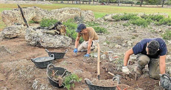 Sorprendente hallazgo en sa Cova de sa Nineta: hallan una cámara oculta y un posible horno romano