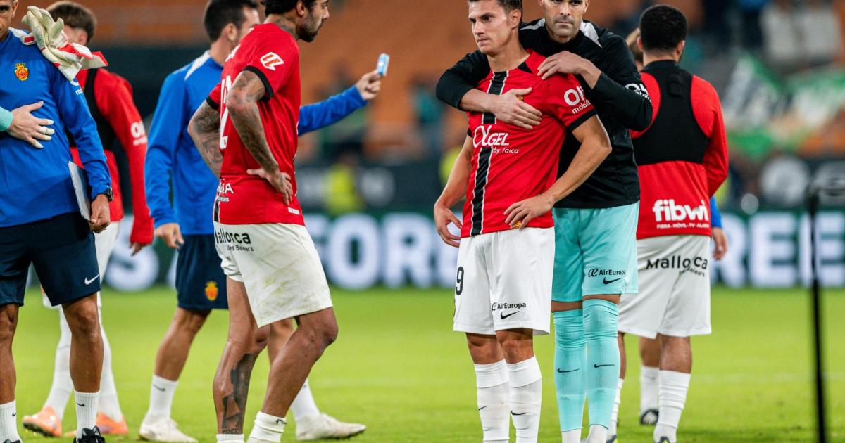 차이점은 품질이다