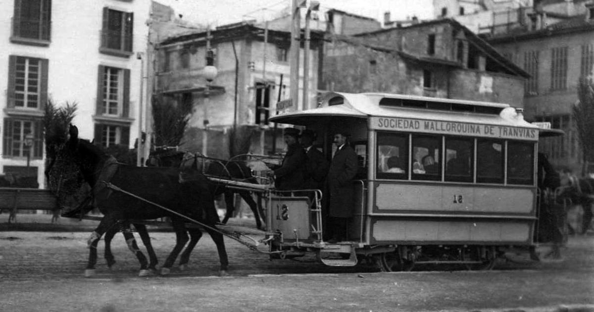 궁금하셨나요? 100년 전 팔마는 노새가 움직였다는 사실!